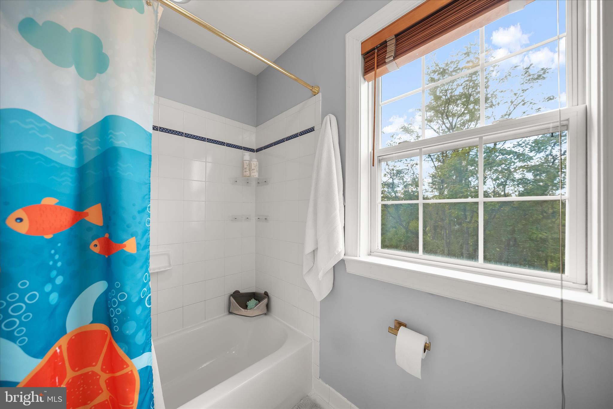 37009 Philomont Road Purcellville, VA 20132 - Photo 39 of 69 Philomont 064