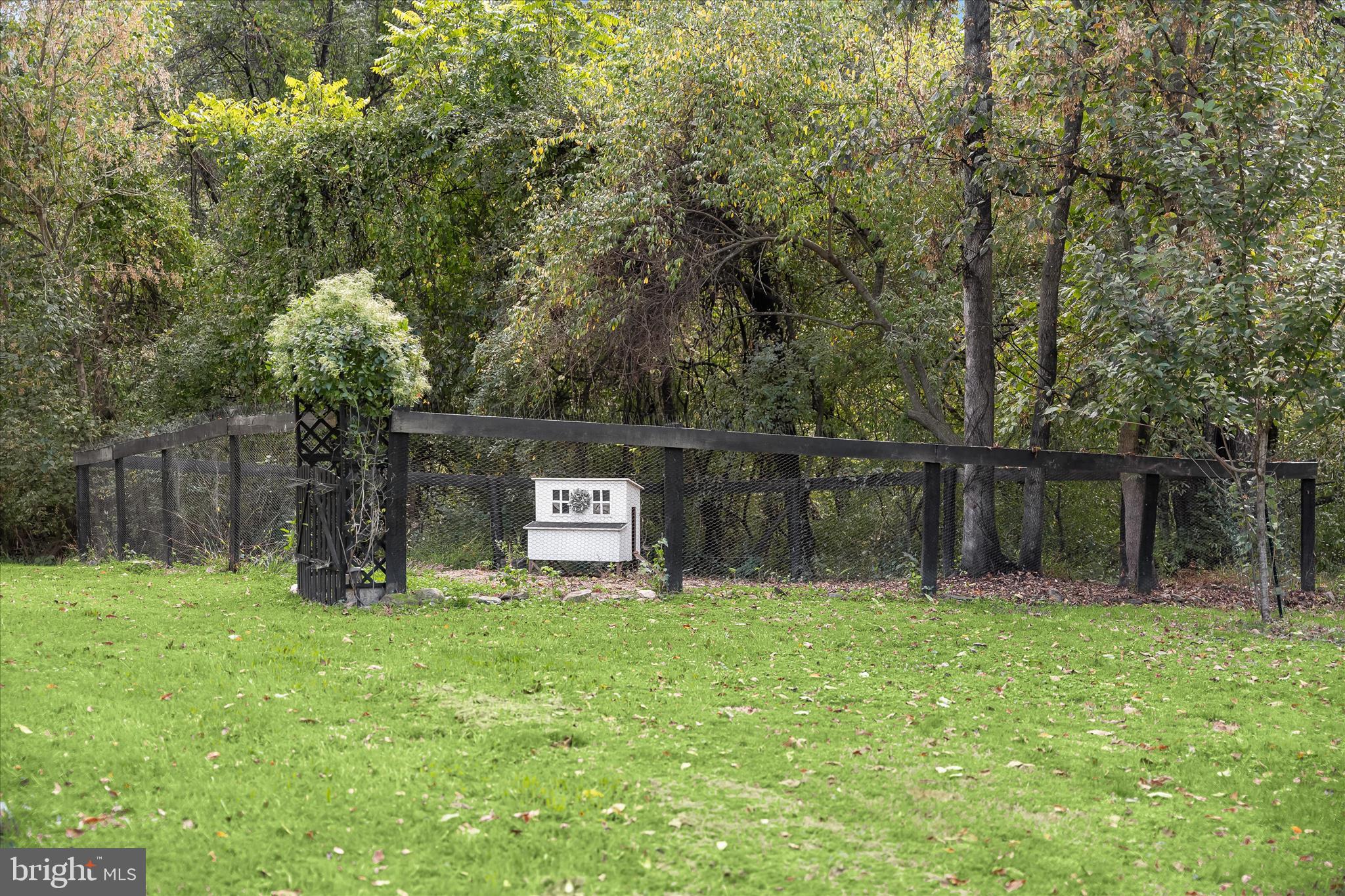 37009 Philomont Road Purcellville, VA 20132 - Photo 52 of 69 Philomont 087