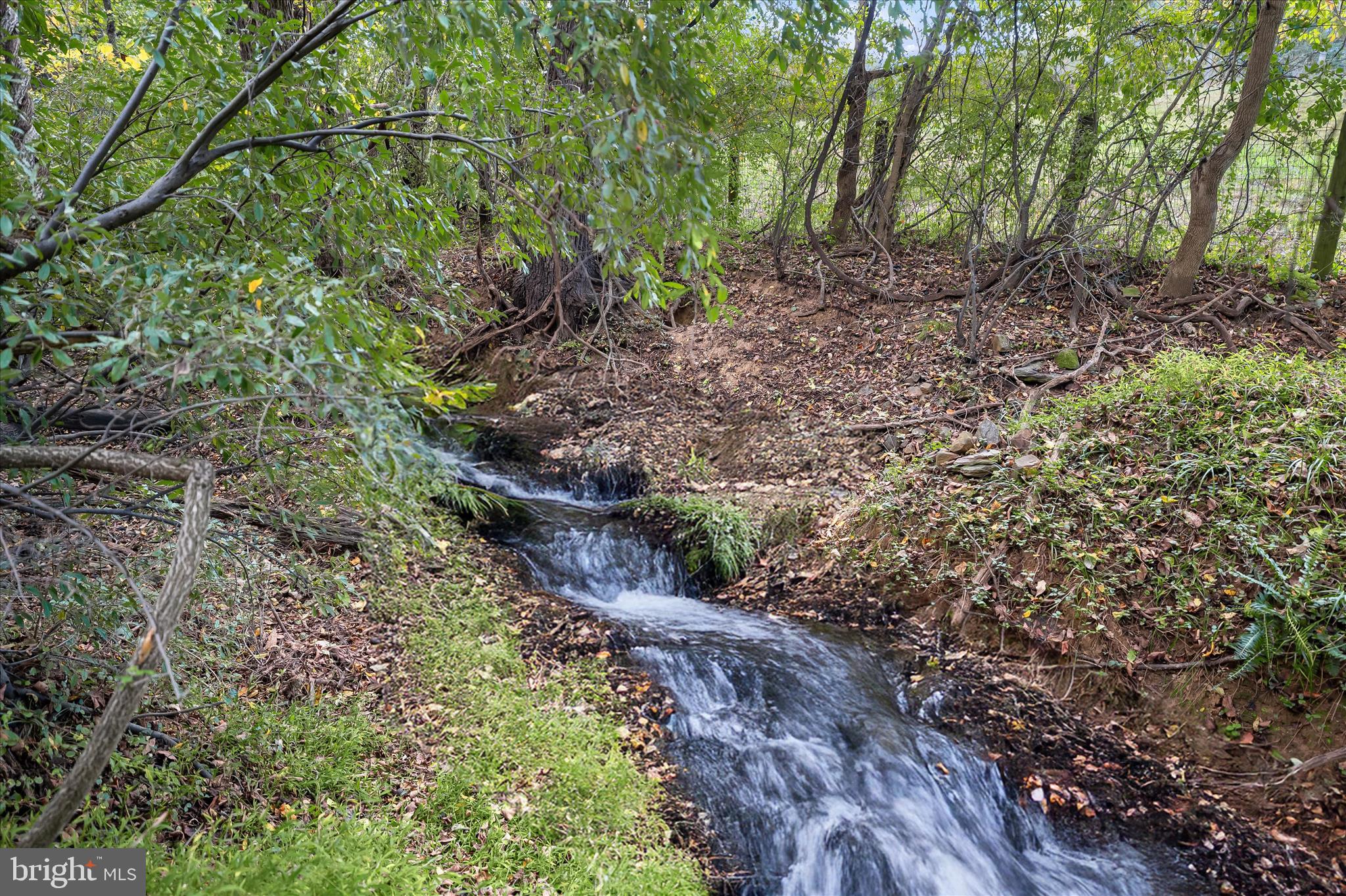 37009 Philomont Road Purcellville, VA 20132 - Photo 63 of 69 Philomont 014