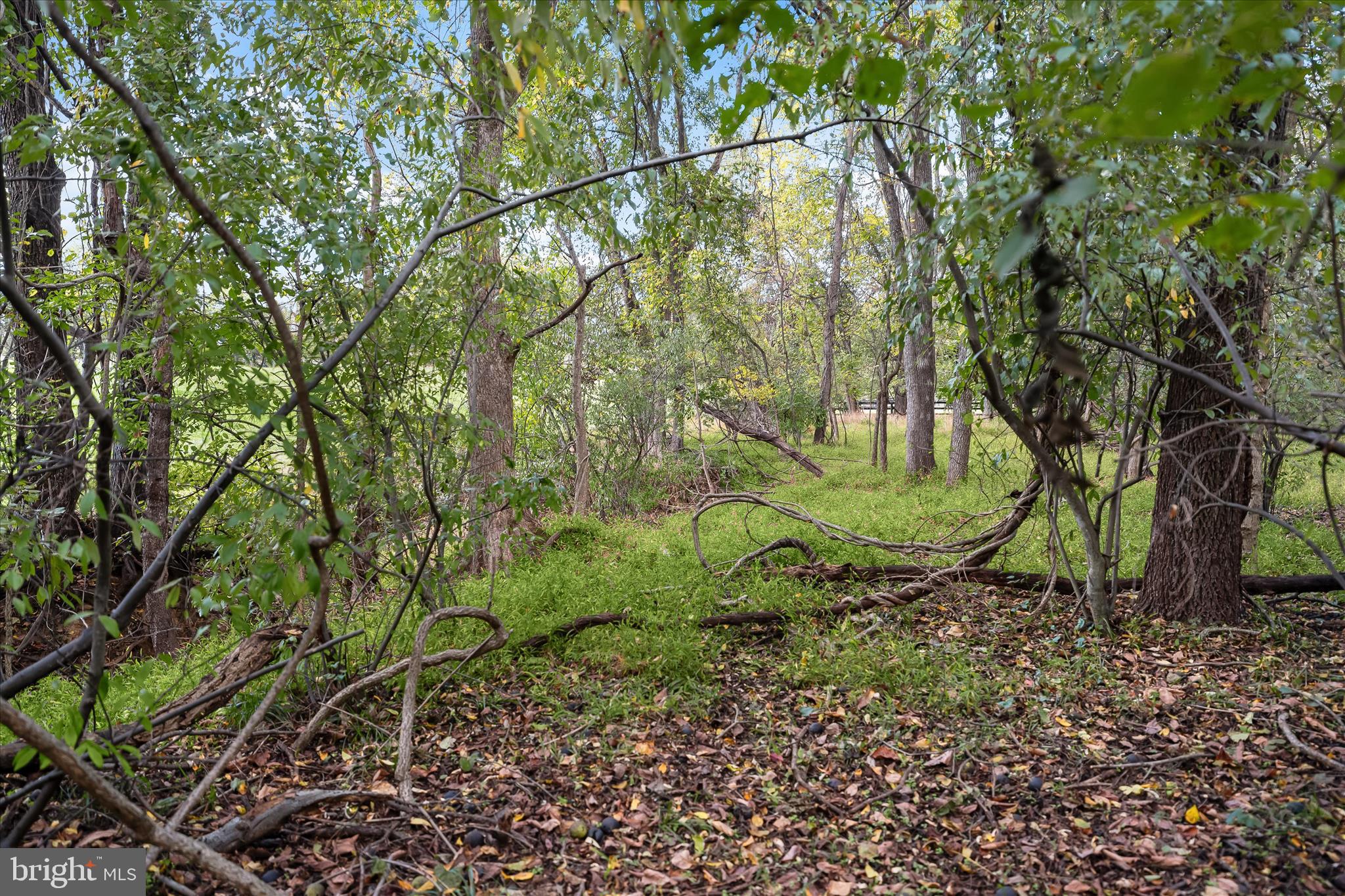 37009 Philomont Road Purcellville, VA 20132 - Photo 64 of 69 Philomont 015