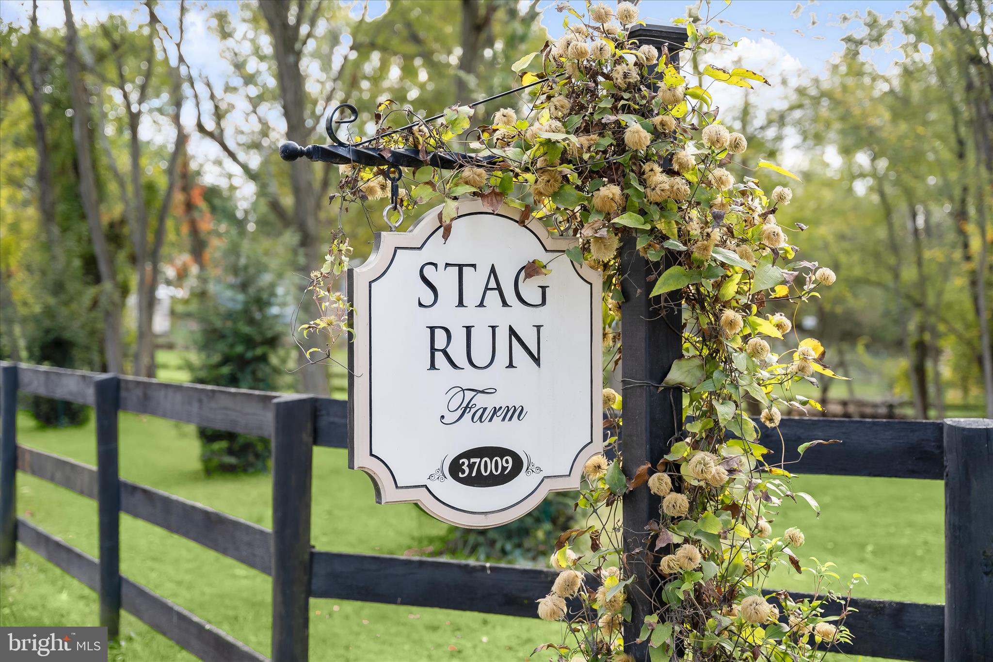 37009 Philomont Road Purcellville, VA 20132 - Photo 9 of 69 Philomont 076