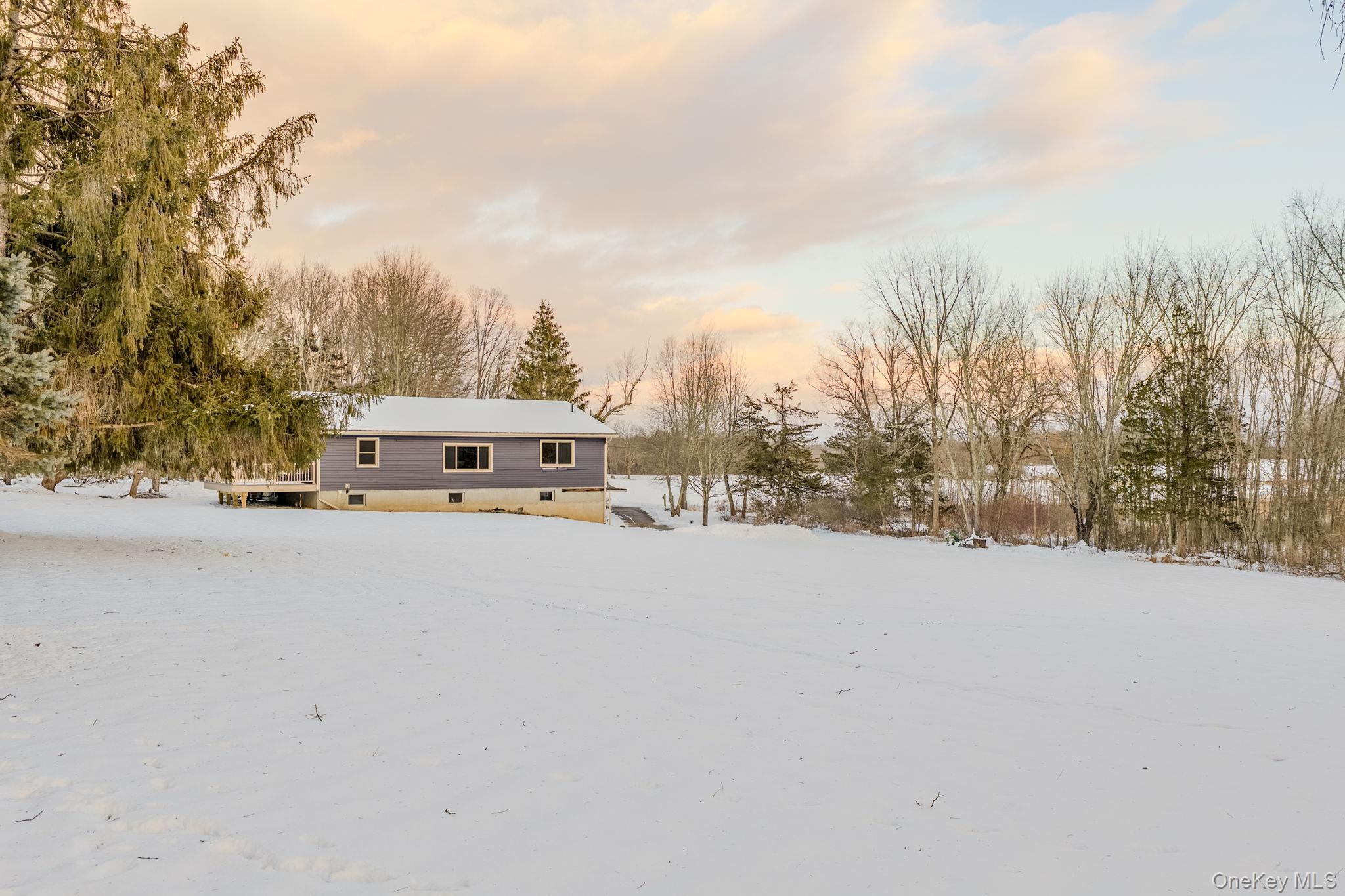41 Low Road Wallkill, NY 12589 - Photo 3 of 37 View of snow covered rear of property