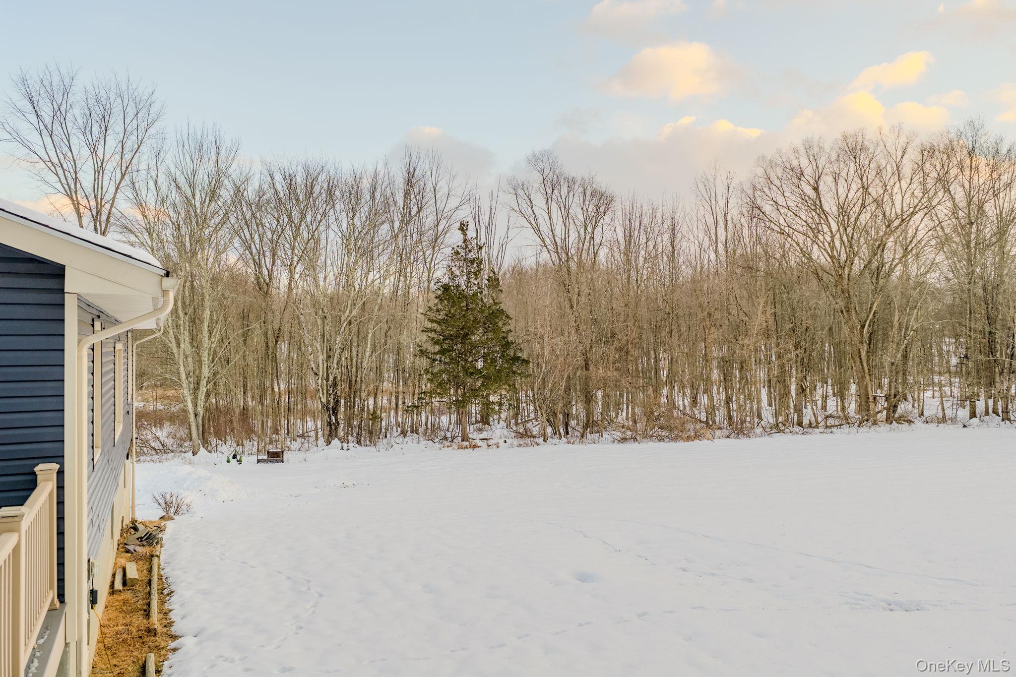 41 Low Road Wallkill, NY 12589 - Photo 34 of 37 View of yard covered in snow