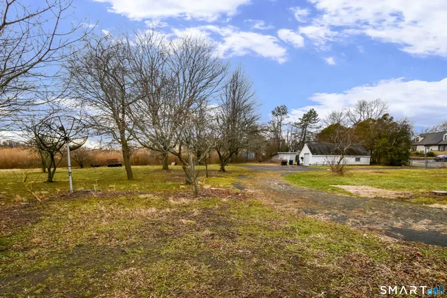 a view of yard with trees