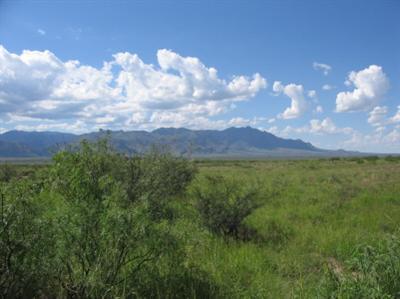 0 East Many Wells Road East Bowie, AZ 85605 - Photo 2 of 3