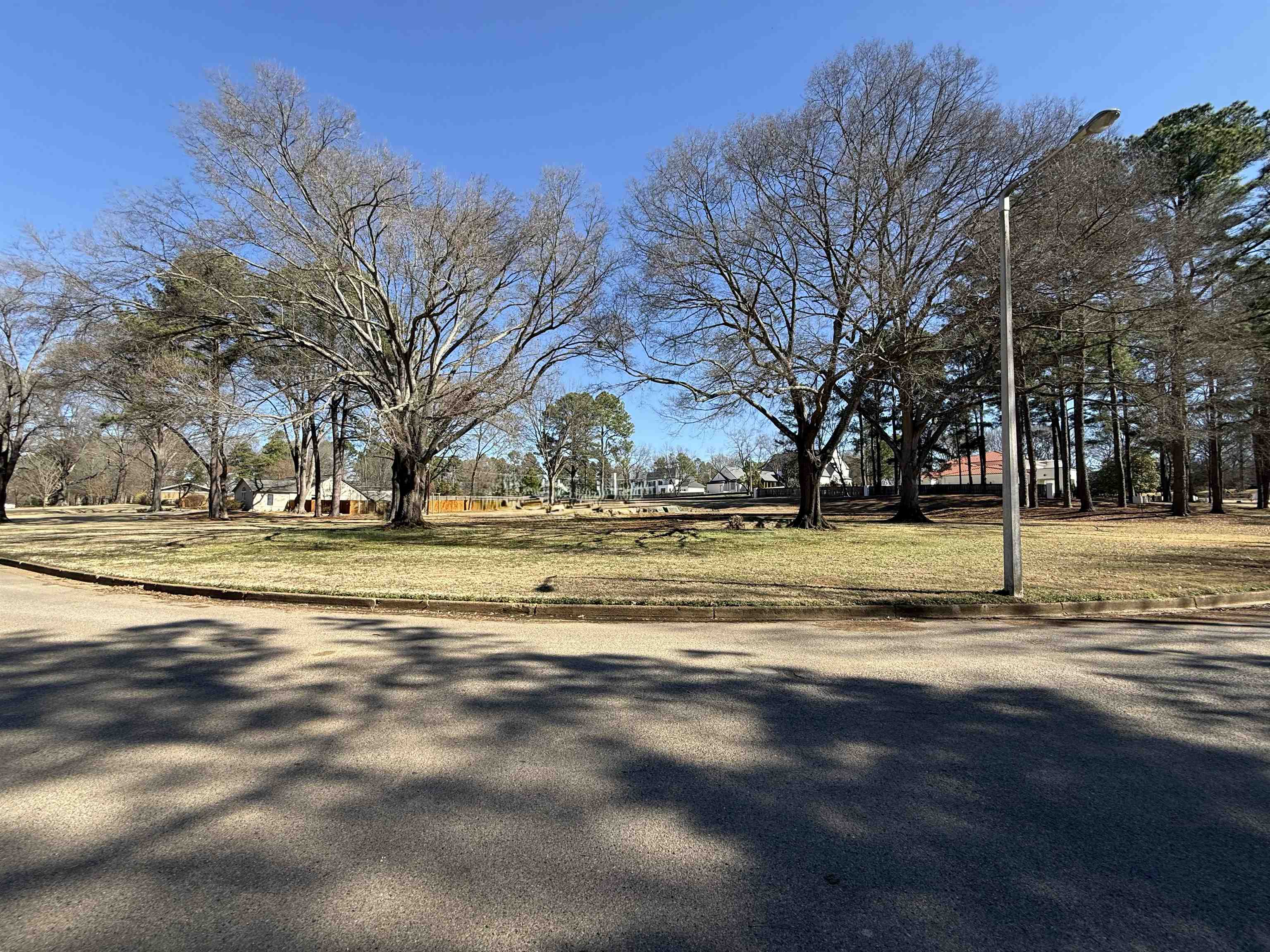2808 Scarlet Road Germantown, TN 38139 - Photo 2 of 6 a view of road with large trees