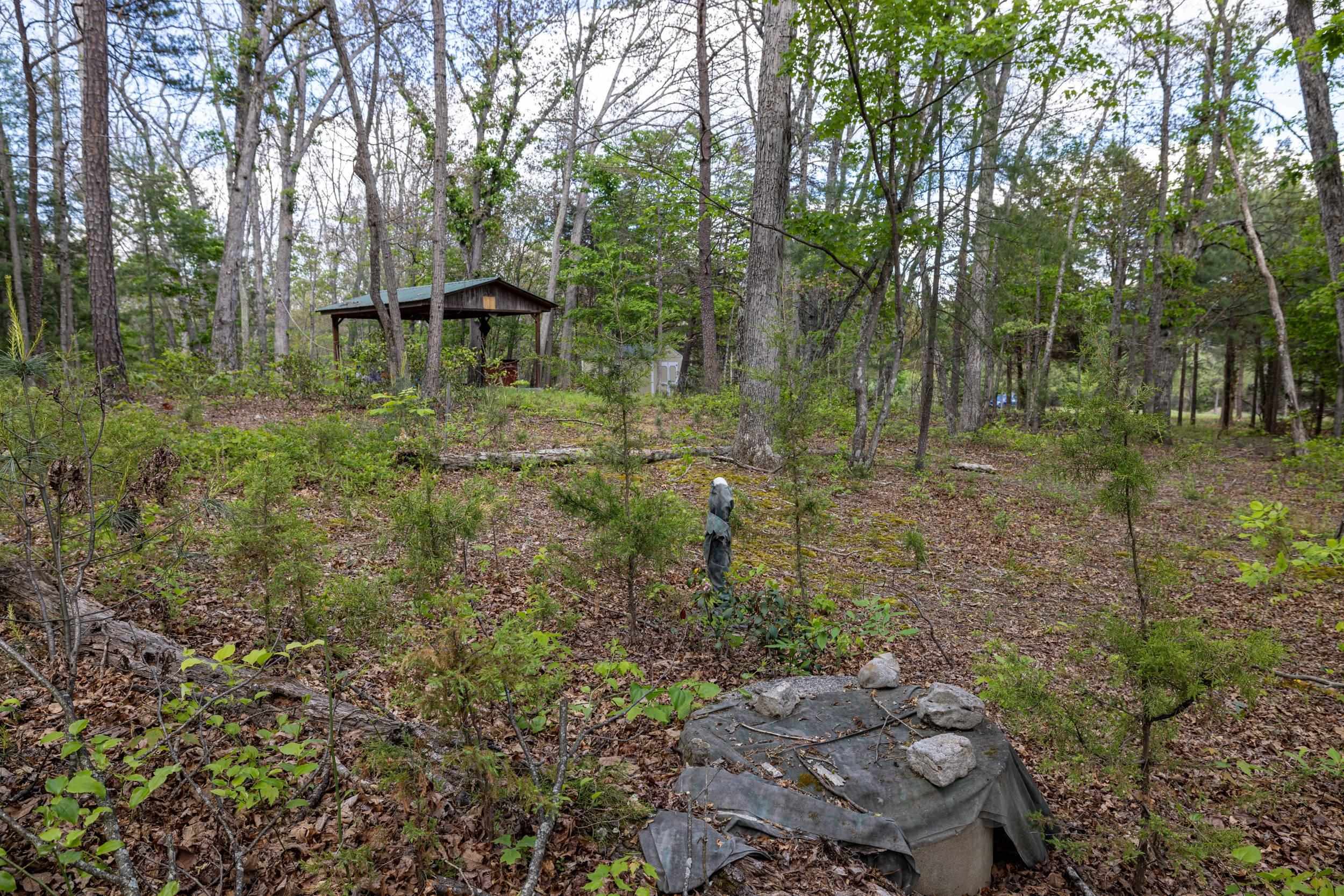0 Boliver Road Fort Valley, VA 22652 - Photo 54 of 55 Gallery Image 54
