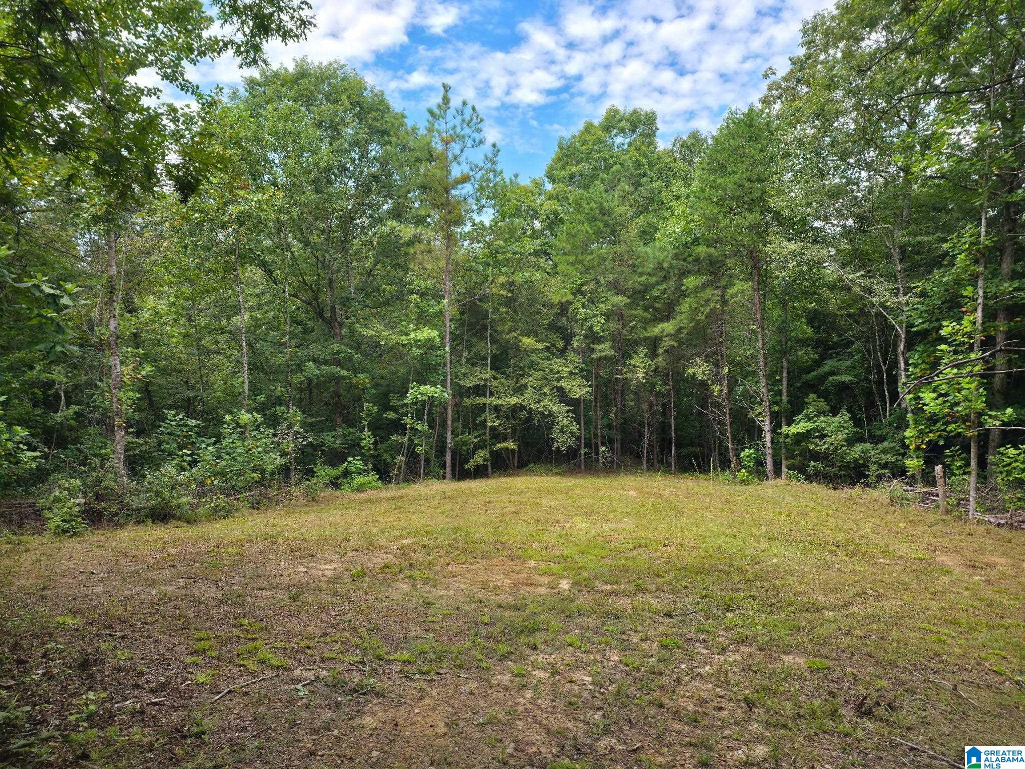 2 County Road 2, Unit 50 / ACRES Double Springs, AL 35553 - Photo 38 of 79