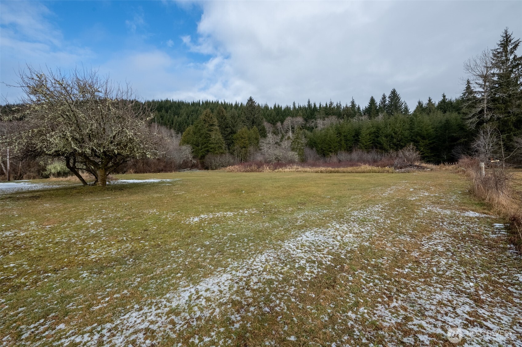 261 Artic Road Cosmopolis, WA 98537 - Photo 3 of 38 Gallery Image 3