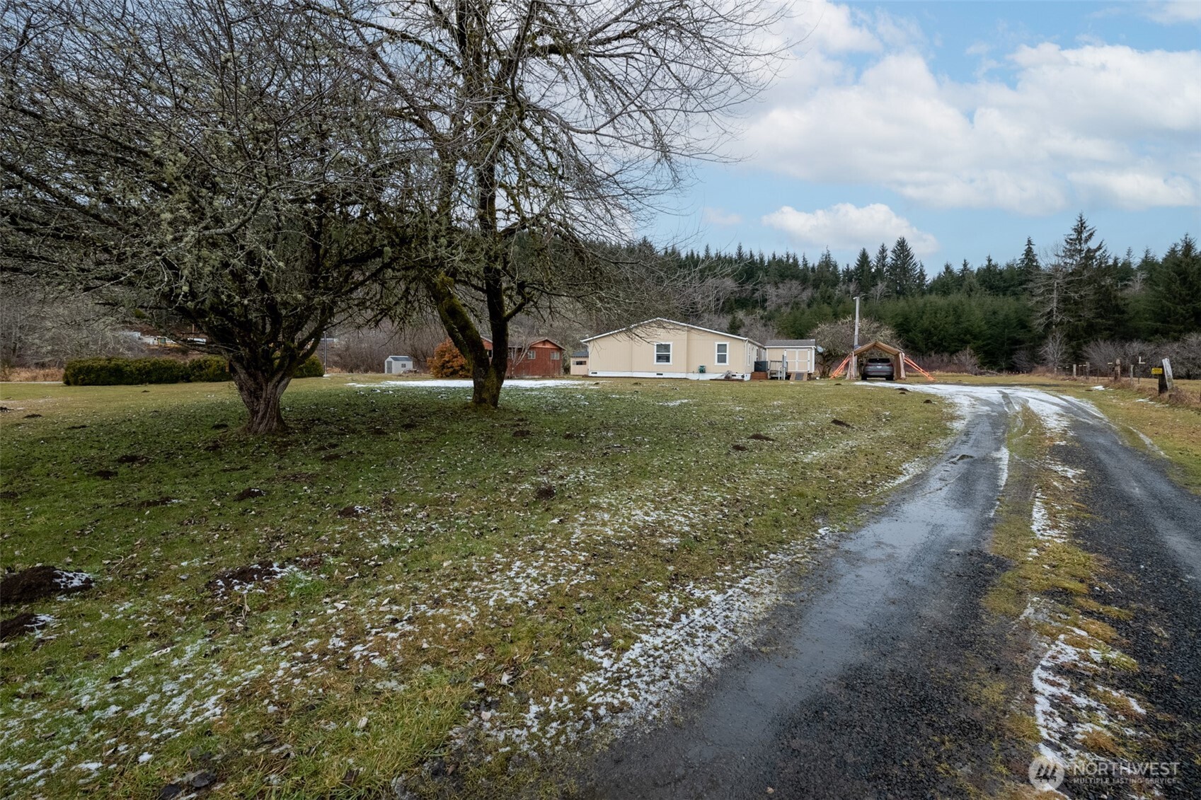 261 Artic Road Cosmopolis, WA 98537 - Photo 5 of 38 Gallery Image 5