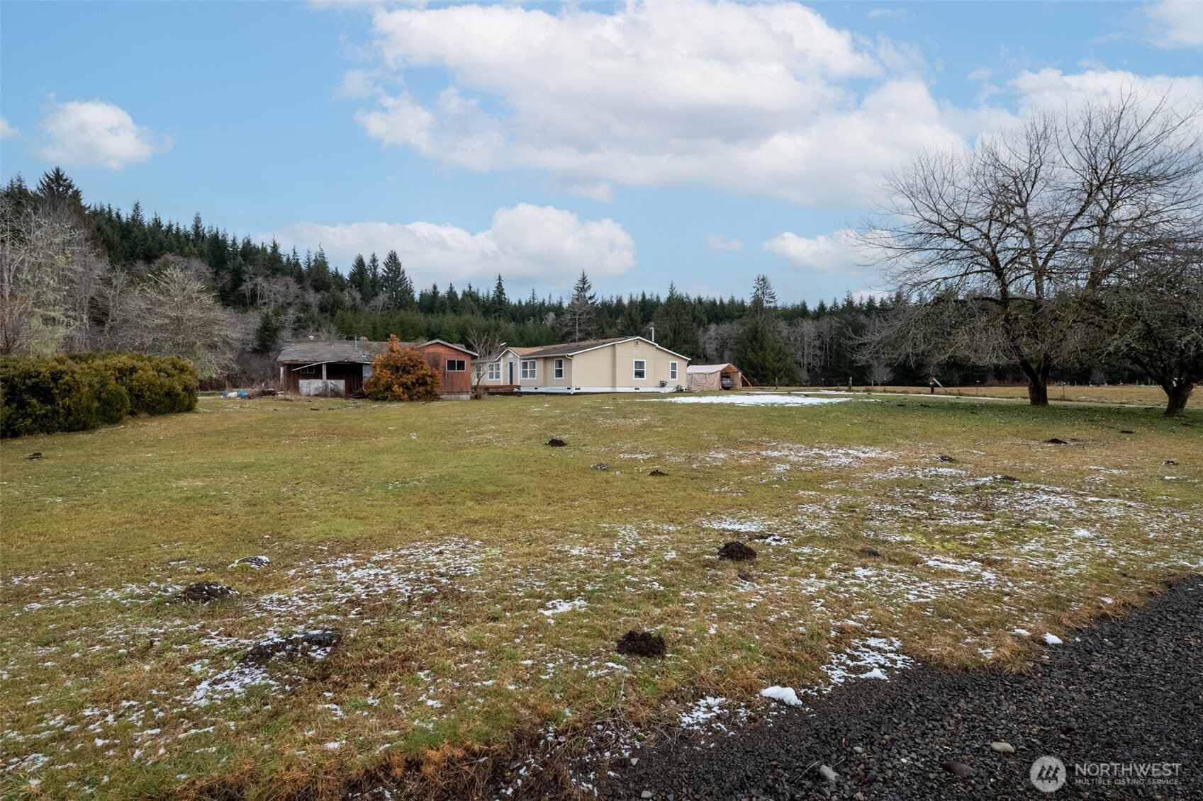 261 Artic Road Cosmopolis, WA 98537 - Photo 7 of 38 Gallery Image 7