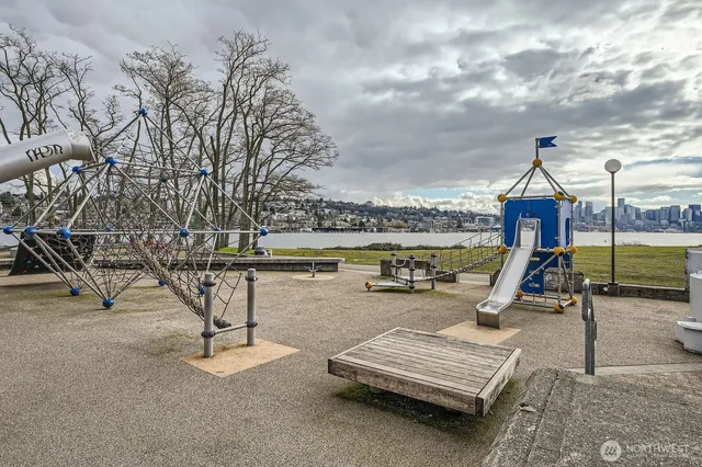 a view of a garden with a bench