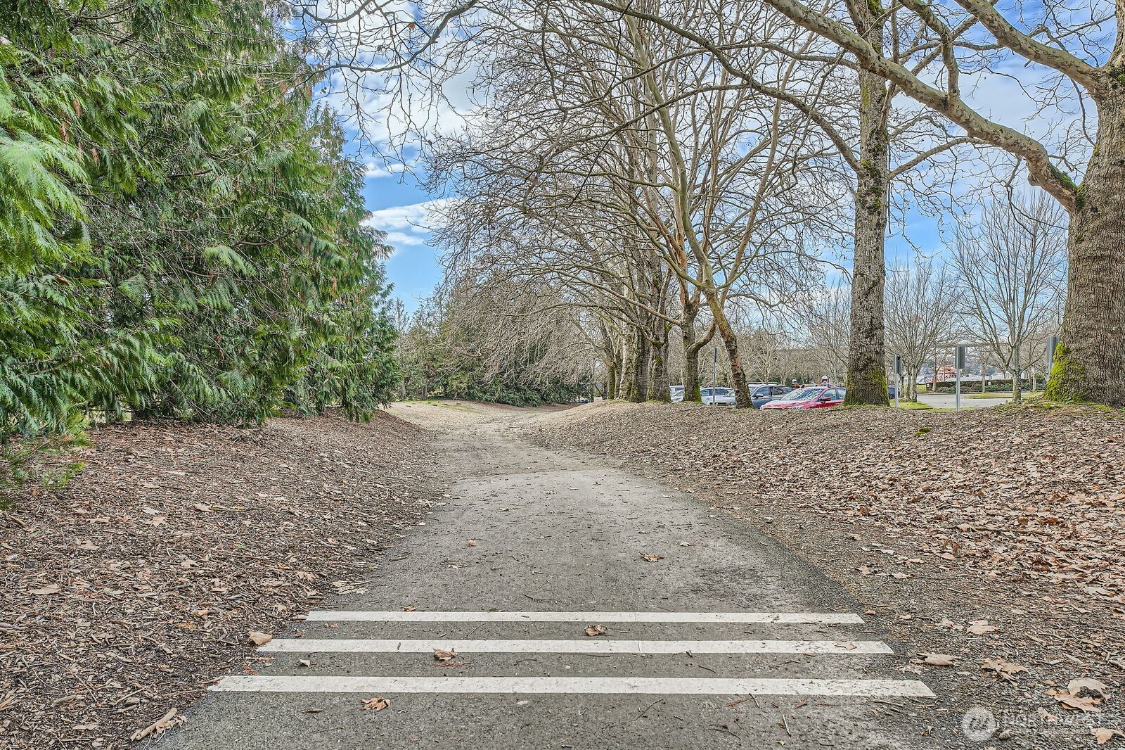 2309 North Northlake Way, Unit 5 Seattle, WA 98103 - Photo 27 of 39 a view of empty space with large trees