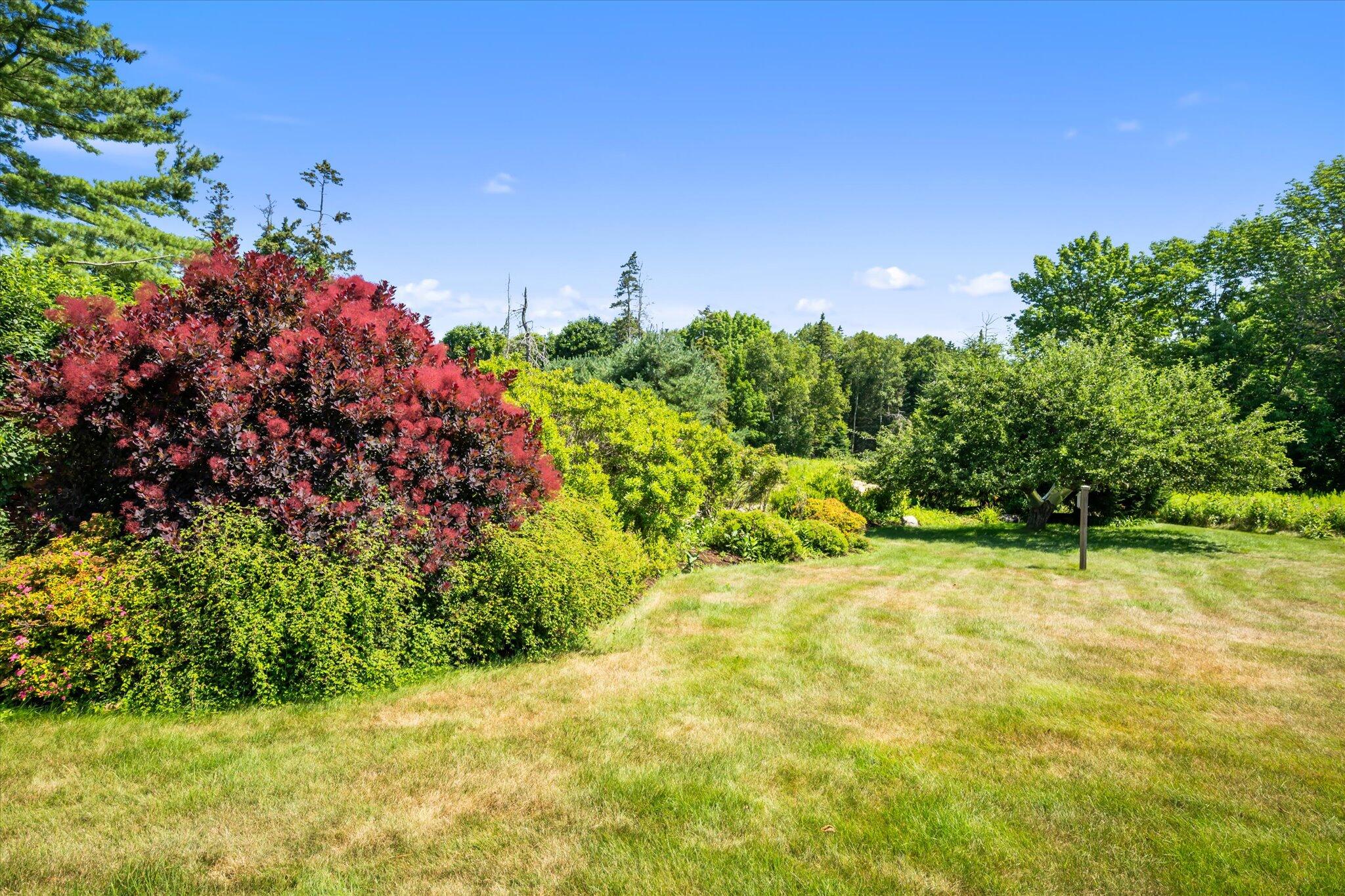 106 Naskeag Point Road Brooklin, ME 04616 - Photo 51 of 56 58-106 Naskeag Point
