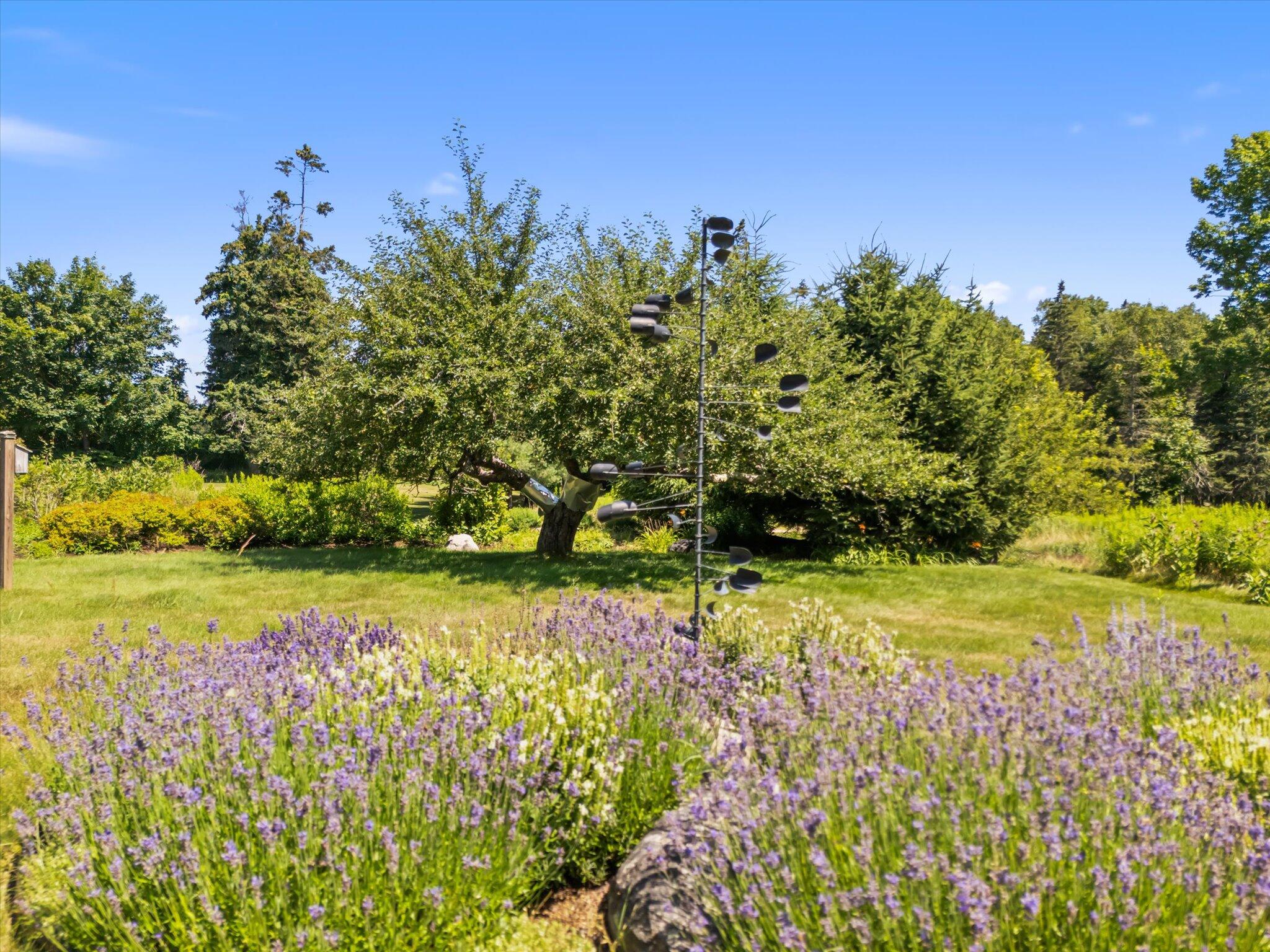 106 Naskeag Point Road Brooklin, ME 04616 - Photo 53 of 56 60-106 Naskeag Point