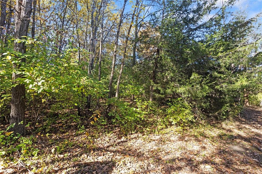 Lot 23 None Drive Excelsior Springs, MO 64024 - Photo 11 of 28