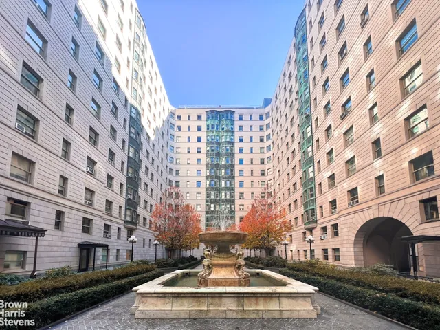 a view of a garden with plants and large trees