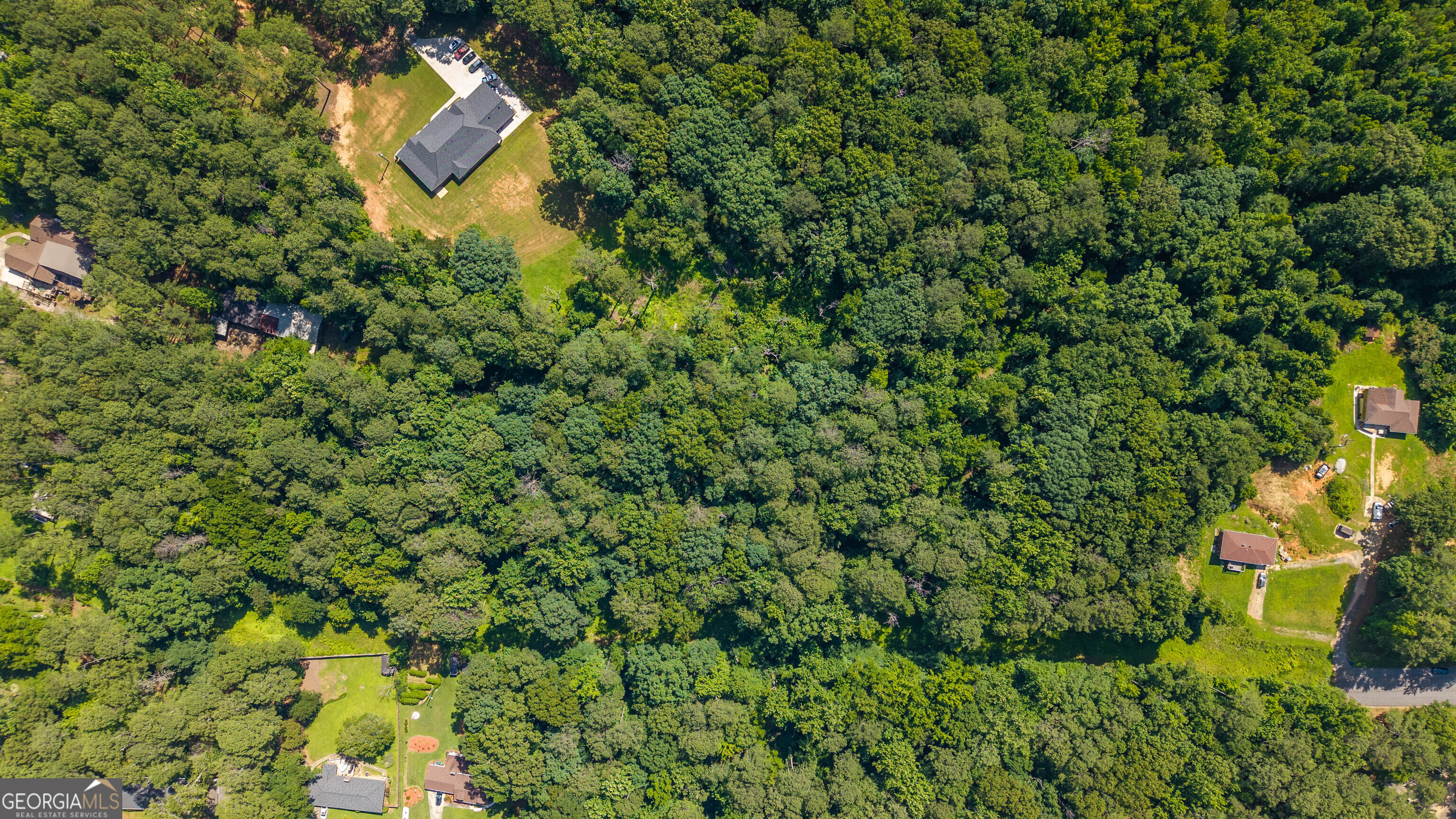 3.87-acres Delano Road South Fulton, GA 30349 - Photo 4 of 10