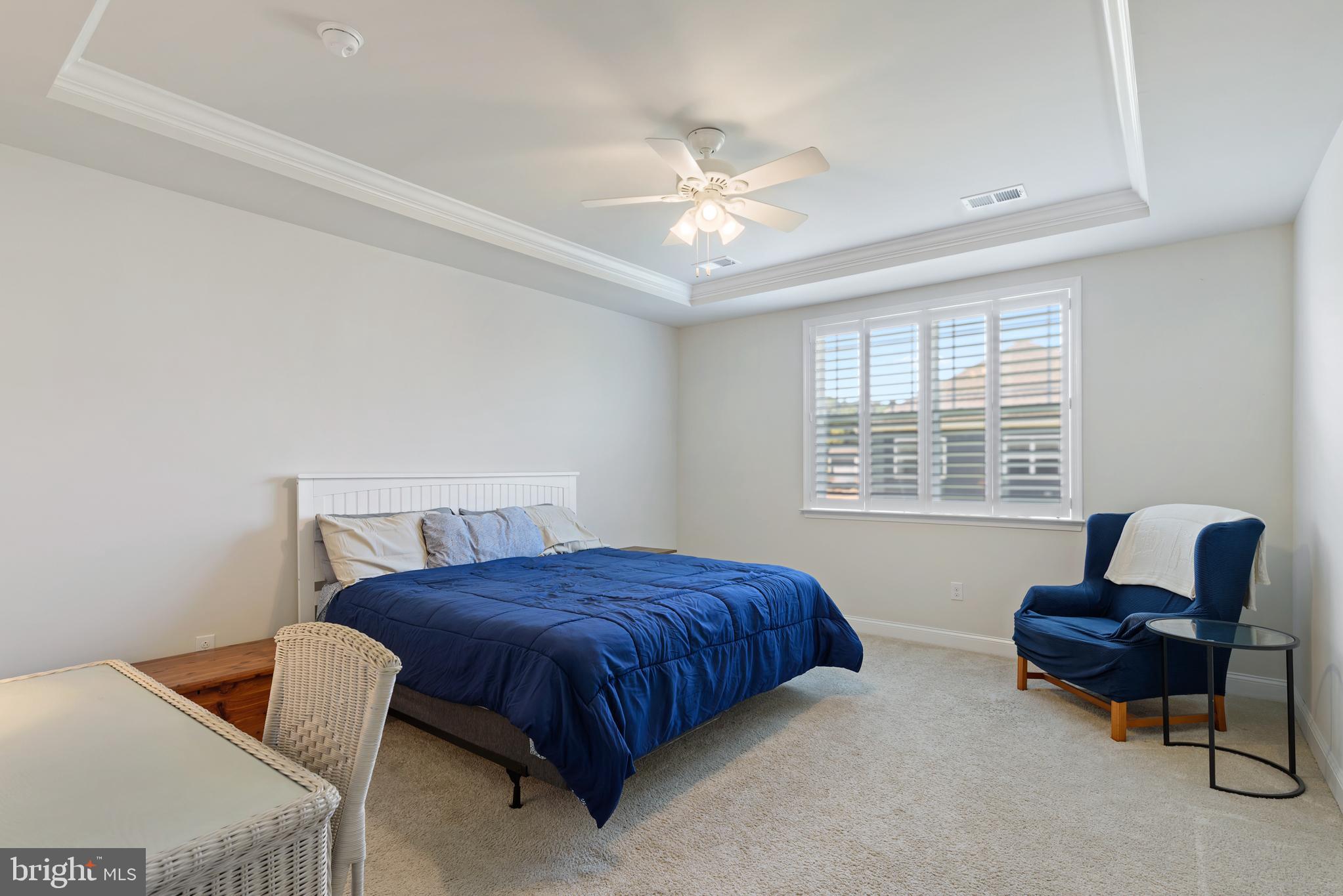 15352 Crape Myrtle Road Milton, DE 19968 - Photo 17 of 41 Main bedroom with tray ceiling/plantation shutters