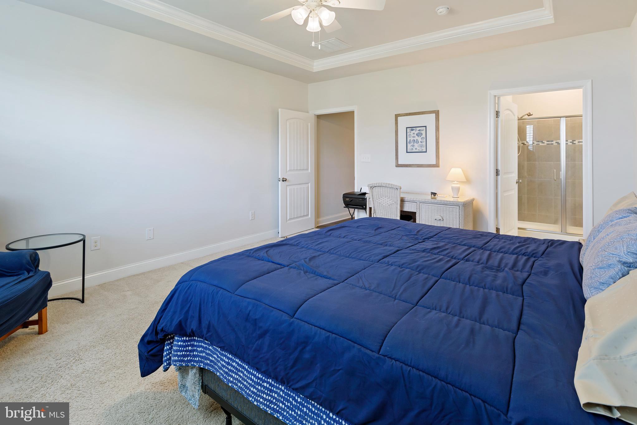 15352 Crape Myrtle Road Milton, DE 19968 - Photo 19 of 41 Main bedroom view towards ensuite