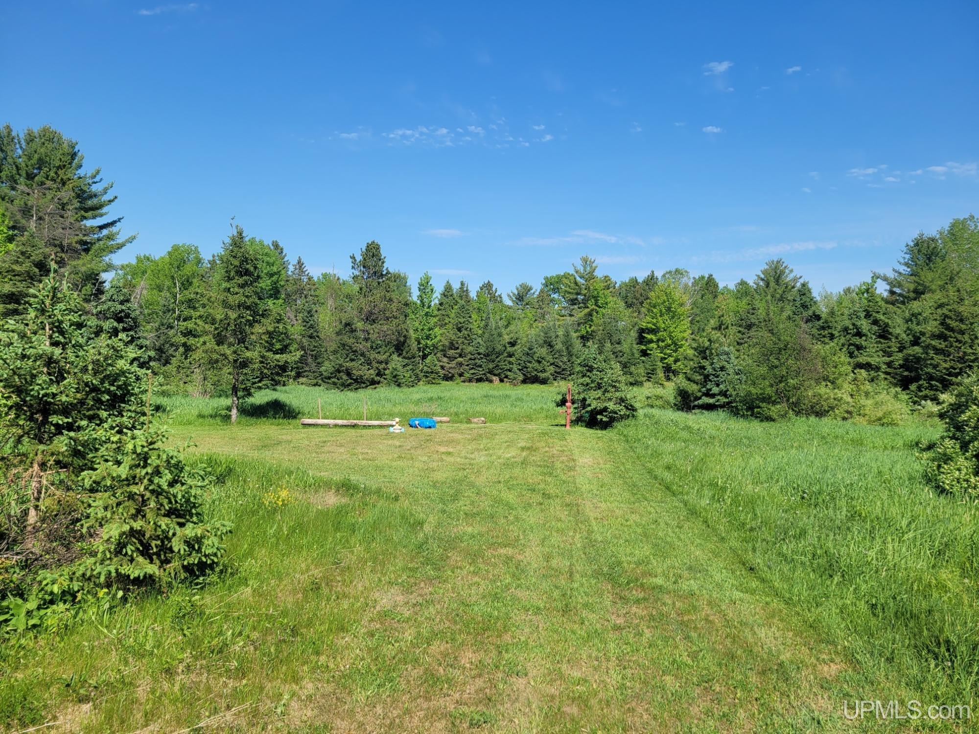 On Metos Road Trout Creek, MI 49967 - Photo 6 of 6