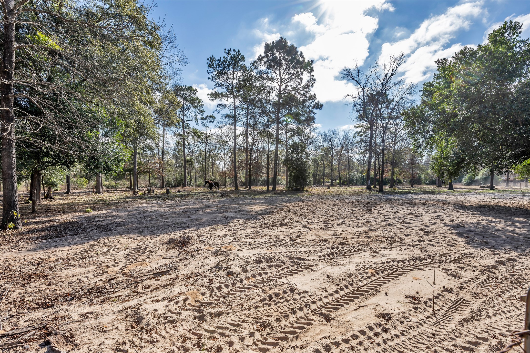 201 Magnolia Road Cleveland, TX 77328 - Photo 25 of 33