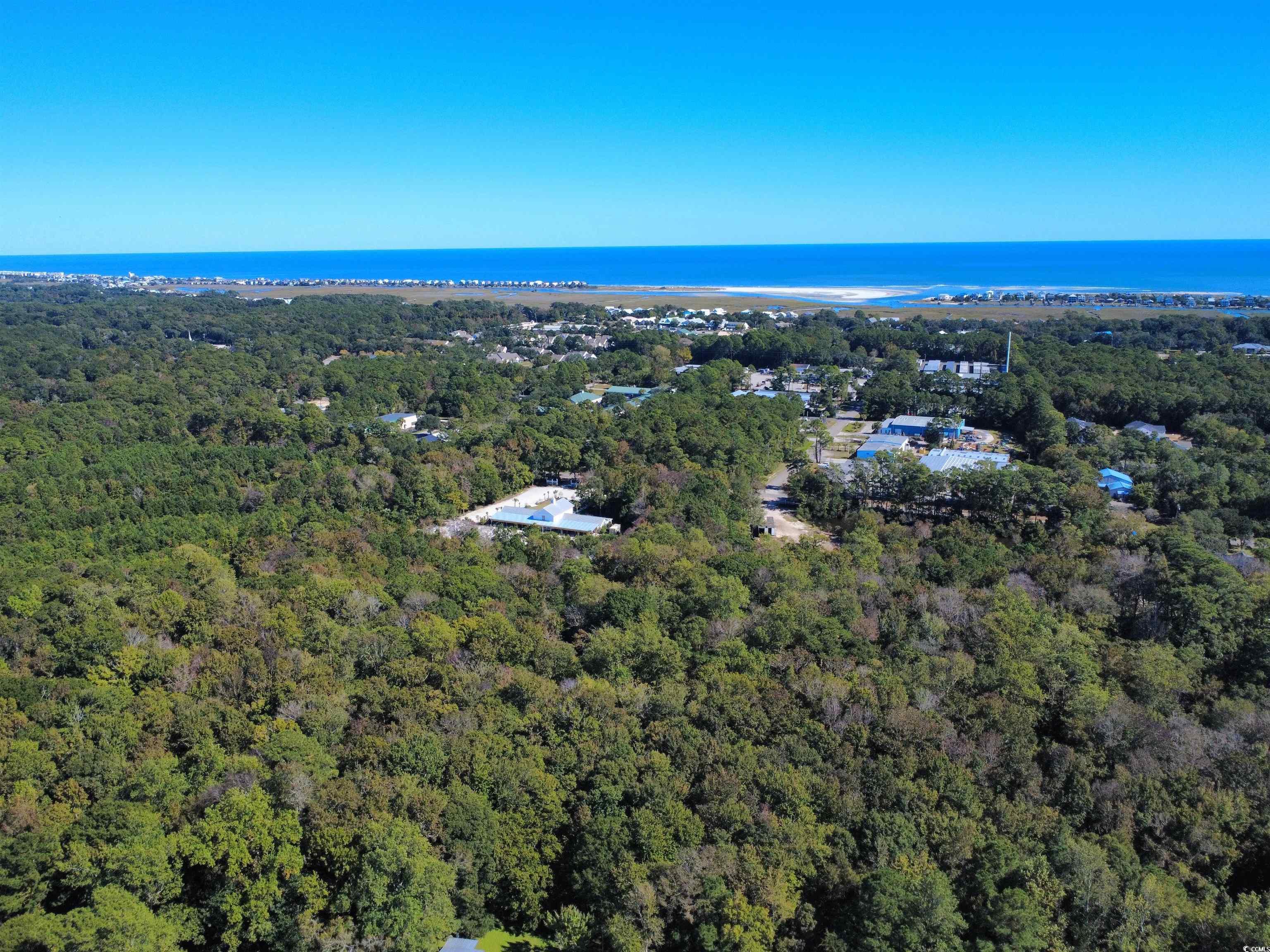 227 Pinehurst Lane, Unit 6D Pawleys Island, SC 29585 - Photo 7 of 39 Aerial view of a forest and a nearby body of water