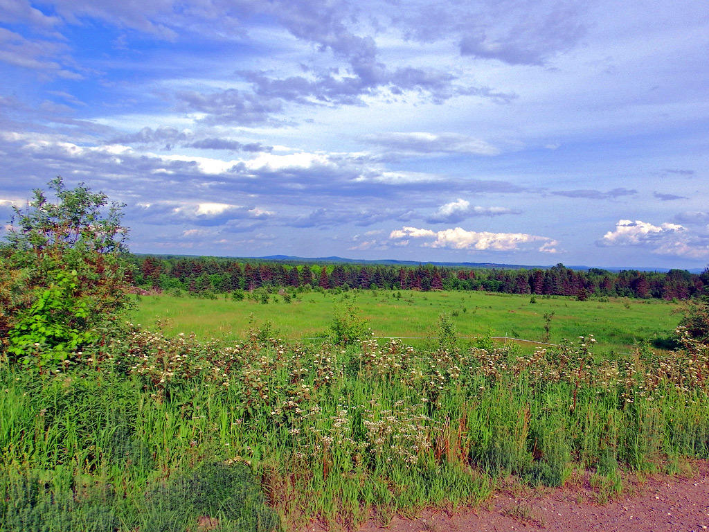 Green Green Rd Road Houlton, ME 04730 - Photo 21 of 30 hodgdon-oliver-land-14