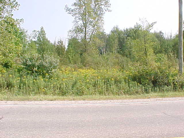 Road Frontage