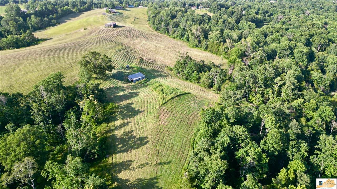 2417 Weed-Keltner Road Edmonton, KY 42129 - Photo 73 of 93 Gallery Image 73