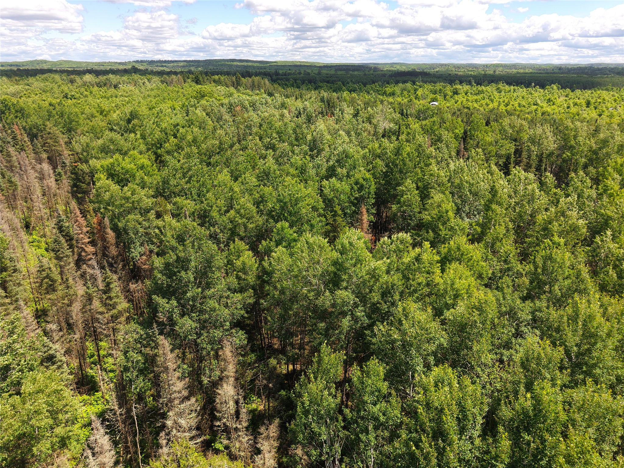 Lot 4 Main Road Minong, WI 54859 - Photo 8 of 19