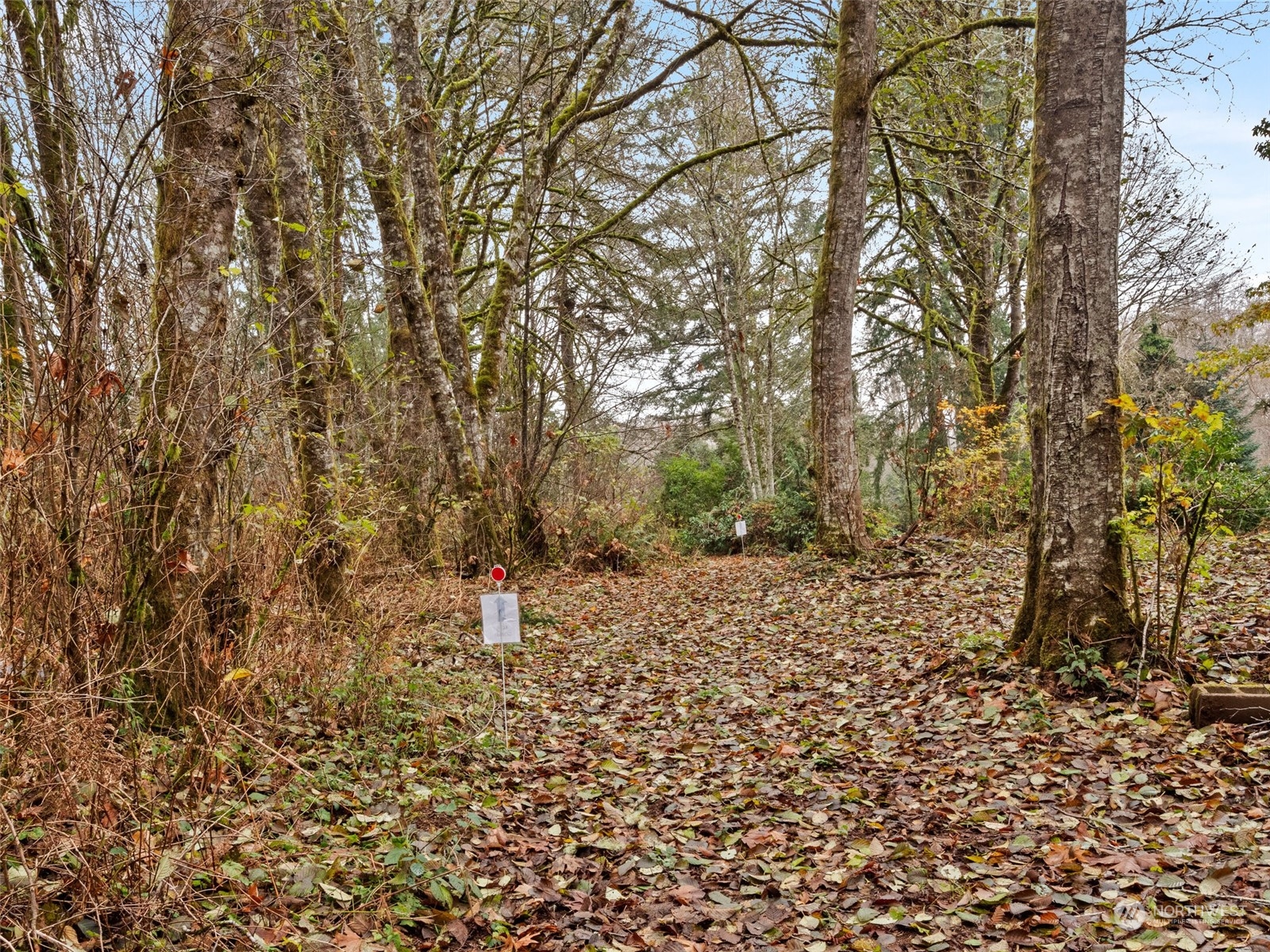 694 Southeast Oak Road Port Orchard, WA 98367 - Photo 34 of 39 Gallery Image 34
