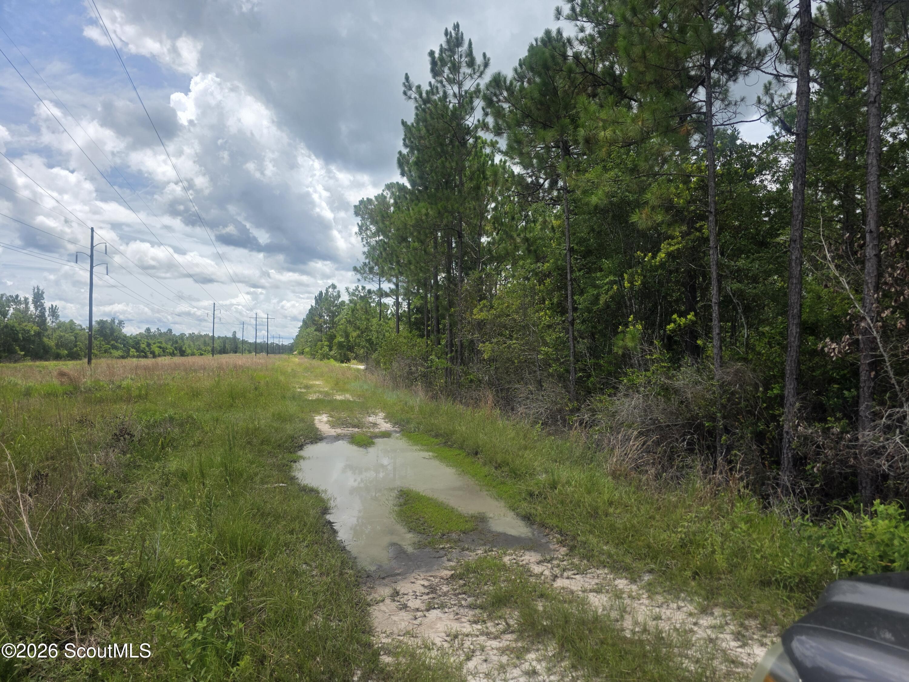 3157 Fred Voigt Road Waycross, GA 31503 - Photo 5 of 5 20260713_123846