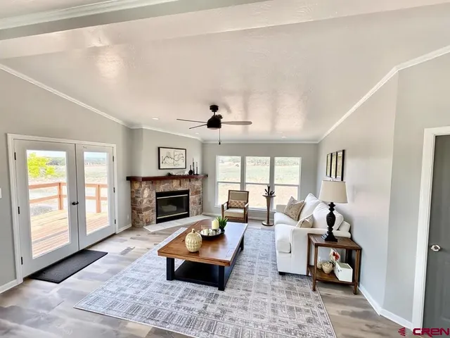 a living room with furniture and a fireplace