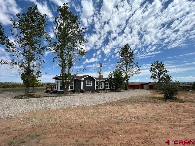 a potted plant sitting in front of a house