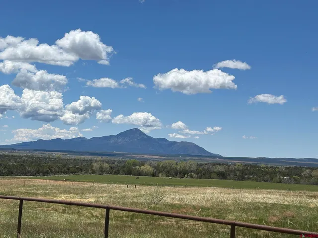 a view of a lake in middle of the forest