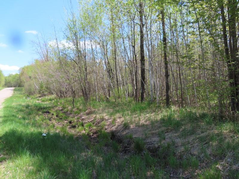 On Sand Lake Road, Unit 15 ACRES Crandon, WI 54520 - Photo 18 of 22 Gallery Image 18