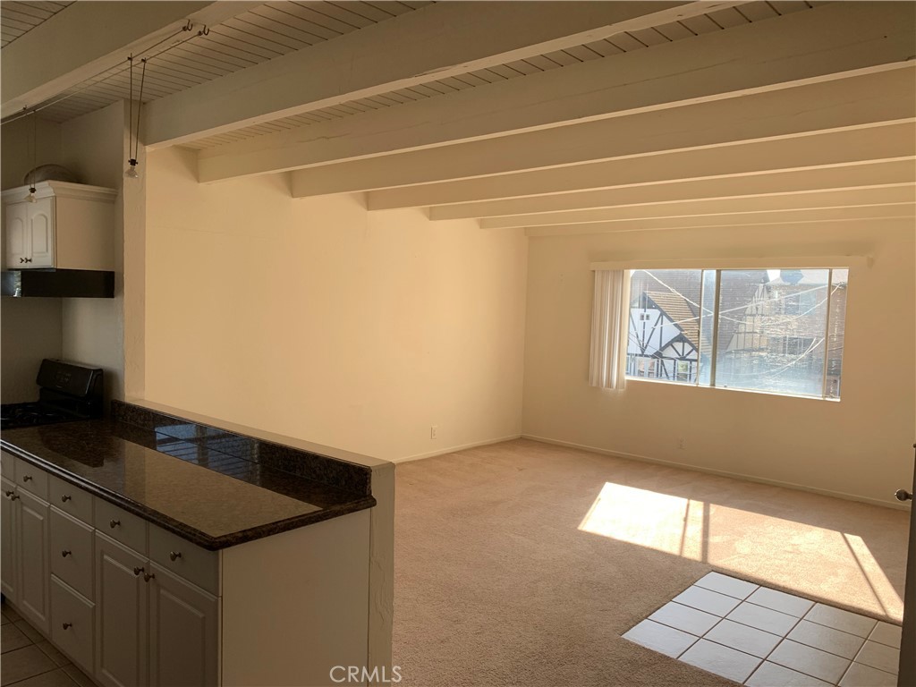 33832 Copper Lantern Street, Unit D Dana Point, CA 92629 - Photo 5 of 7