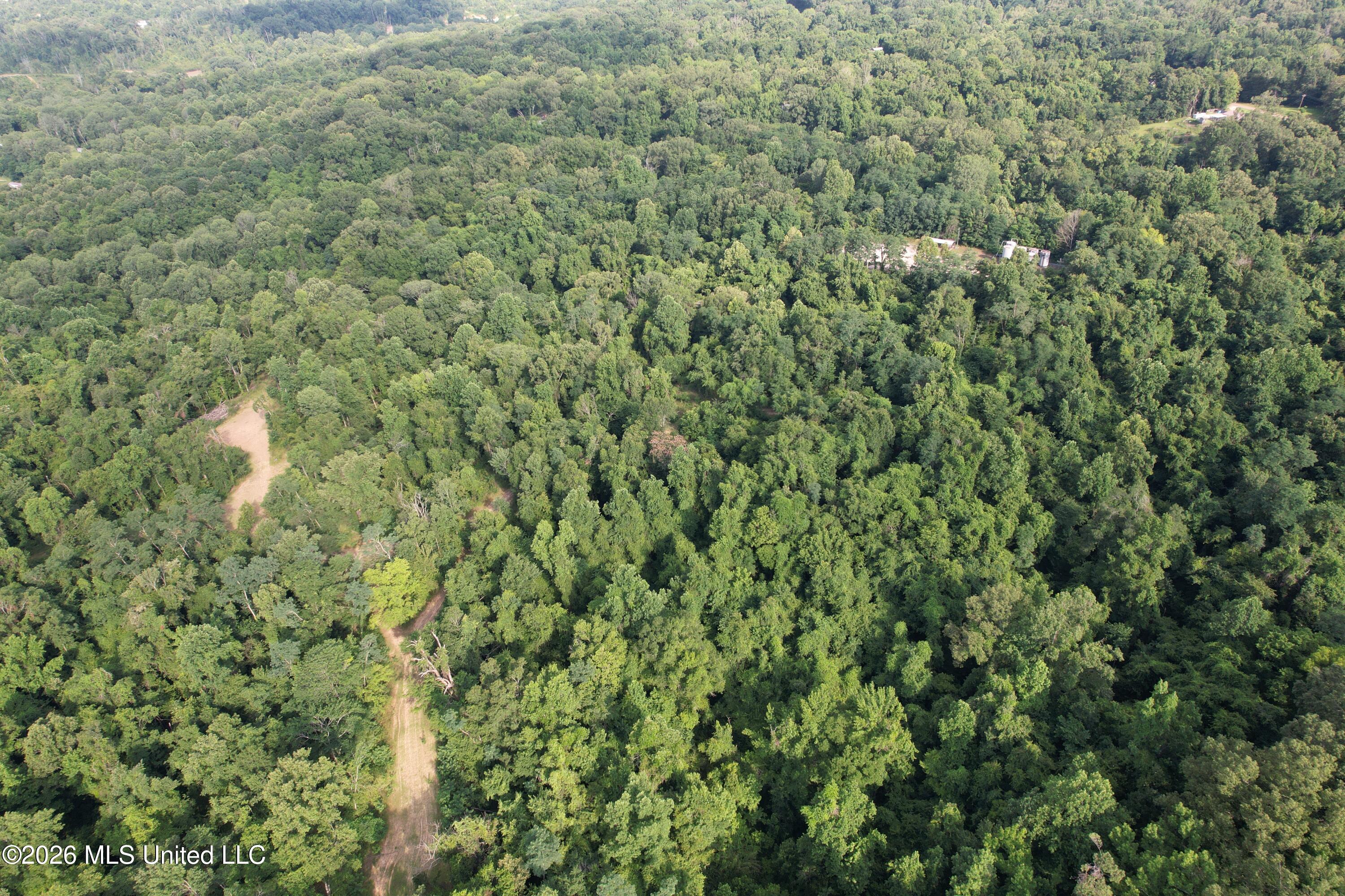 1181 Gowall Road Vicksburg, MS 39183 - Photo 10 of 43 DJI_0565