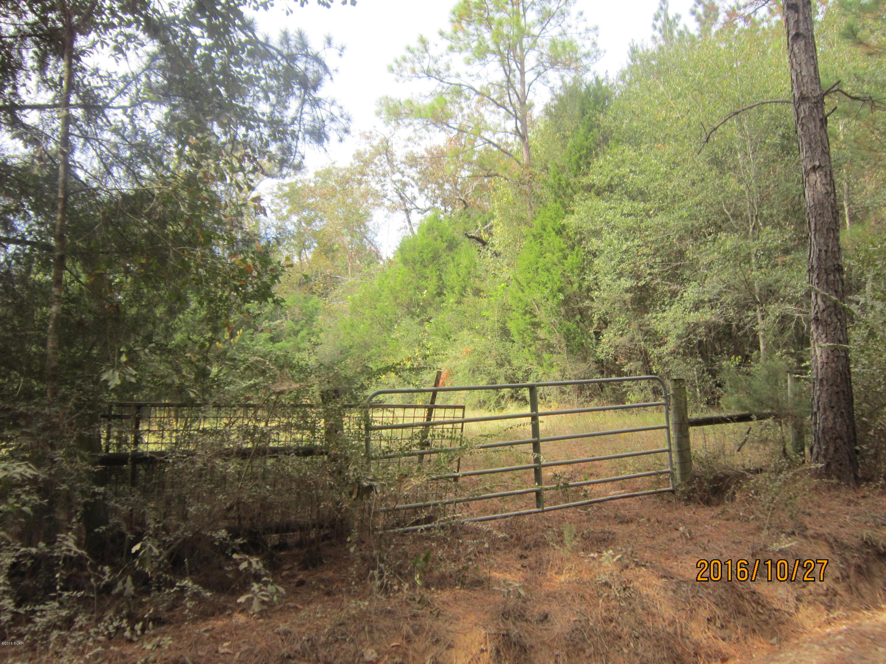 0 Tiller Road, Unit LOT 5A Chipley, FL 32428 - Photo 1 of 4