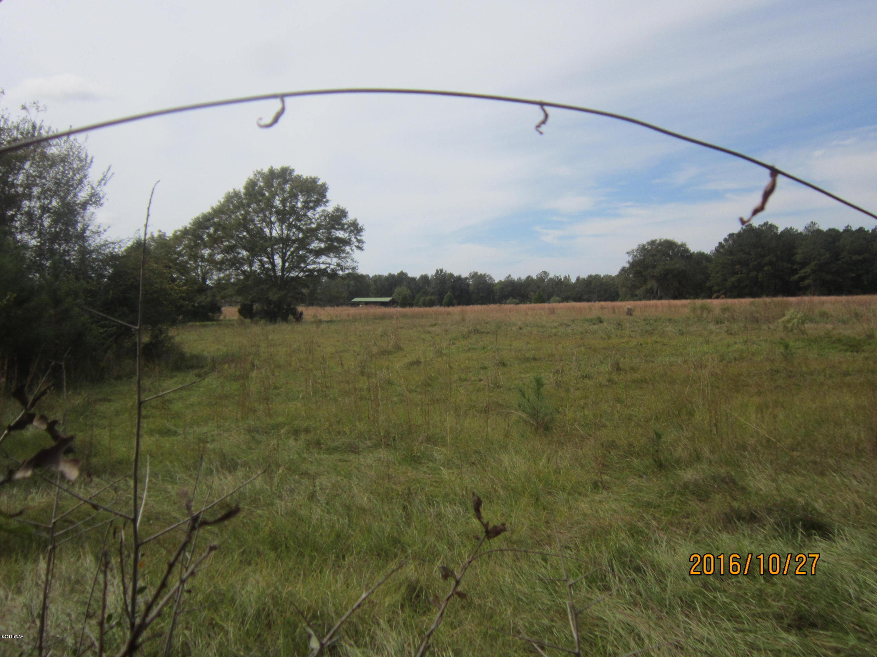 0 Tiller Road, Unit LOT 5A Chipley, FL 32428 - Photo 3 of 4