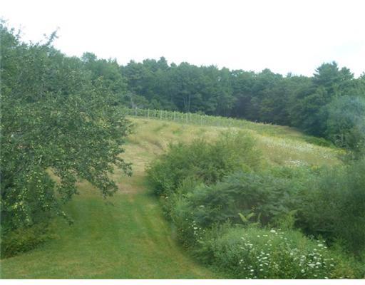 372 Boothbay Road Edgecomb, ME 04556 - Photo 21 of 24 Yard/Garden. Past the apple trees...