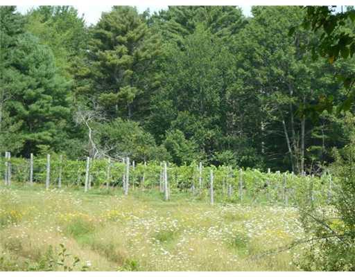372 Boothbay Road Edgecomb, ME 04556 - Photo 4 of 24 Other. Lovely grounds with...