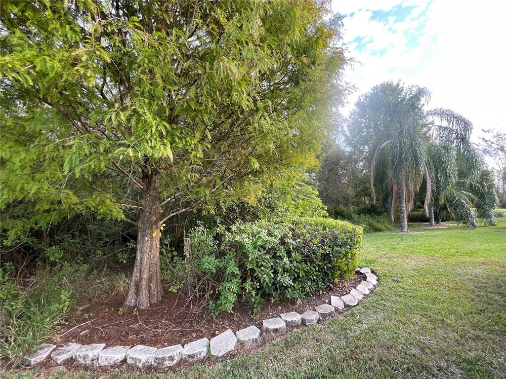 1228 Bensbrooke Drive Wesley Chapel, FL 33543 - Photo 23 of 37 a view of a garden with a tree