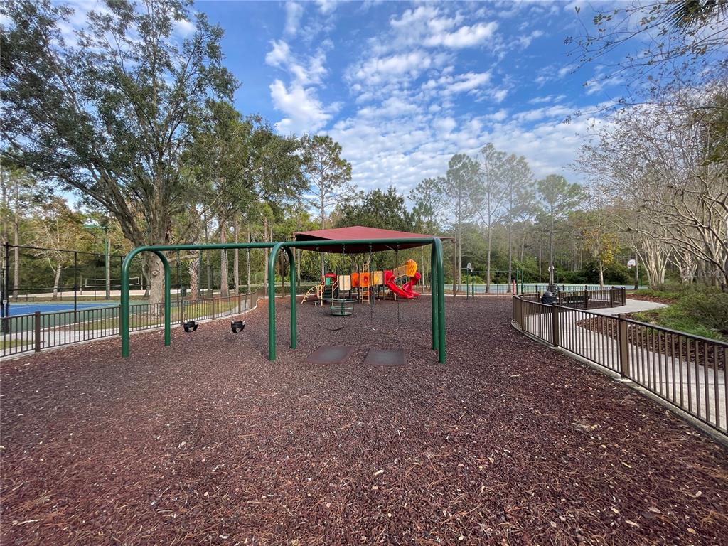 1228 Bensbrooke Drive Wesley Chapel, FL 33543 - Photo 29 of 37 a view of outdoor space with playground and green space