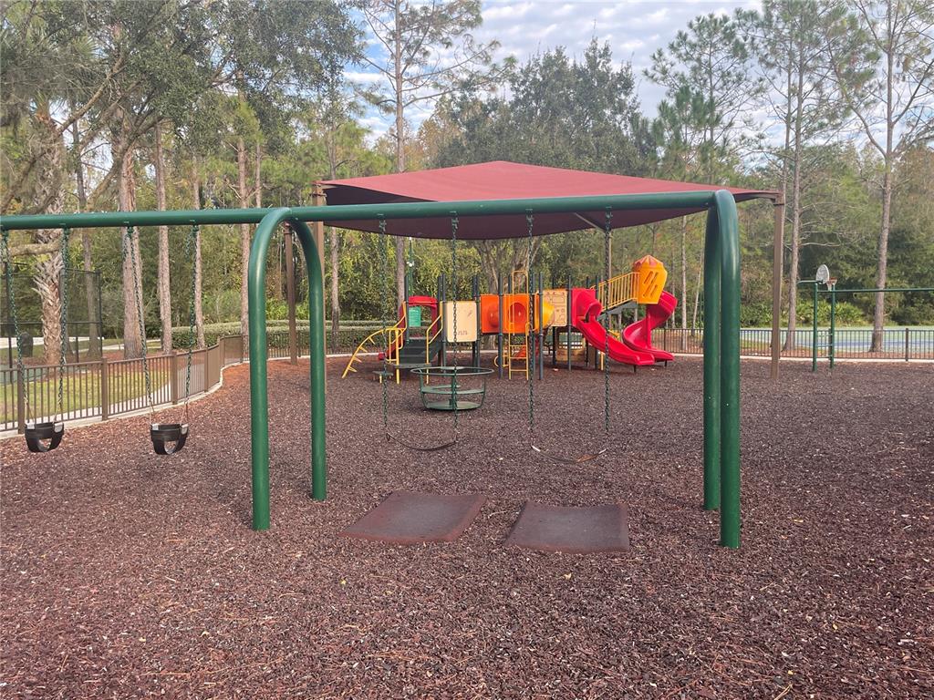 1228 Bensbrooke Drive Wesley Chapel, FL 33543 - Photo 30 of 37 a view of outdoor space