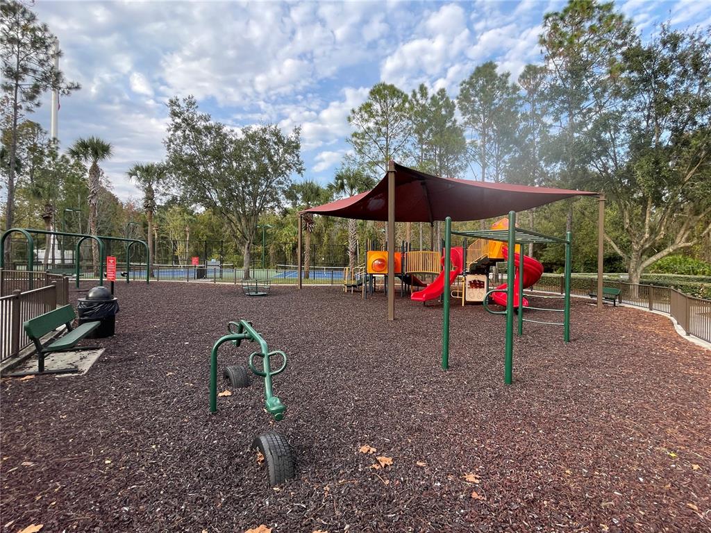 1228 Bensbrooke Drive Wesley Chapel, FL 33543 - Photo 33 of 37 a view of park with entertaining space