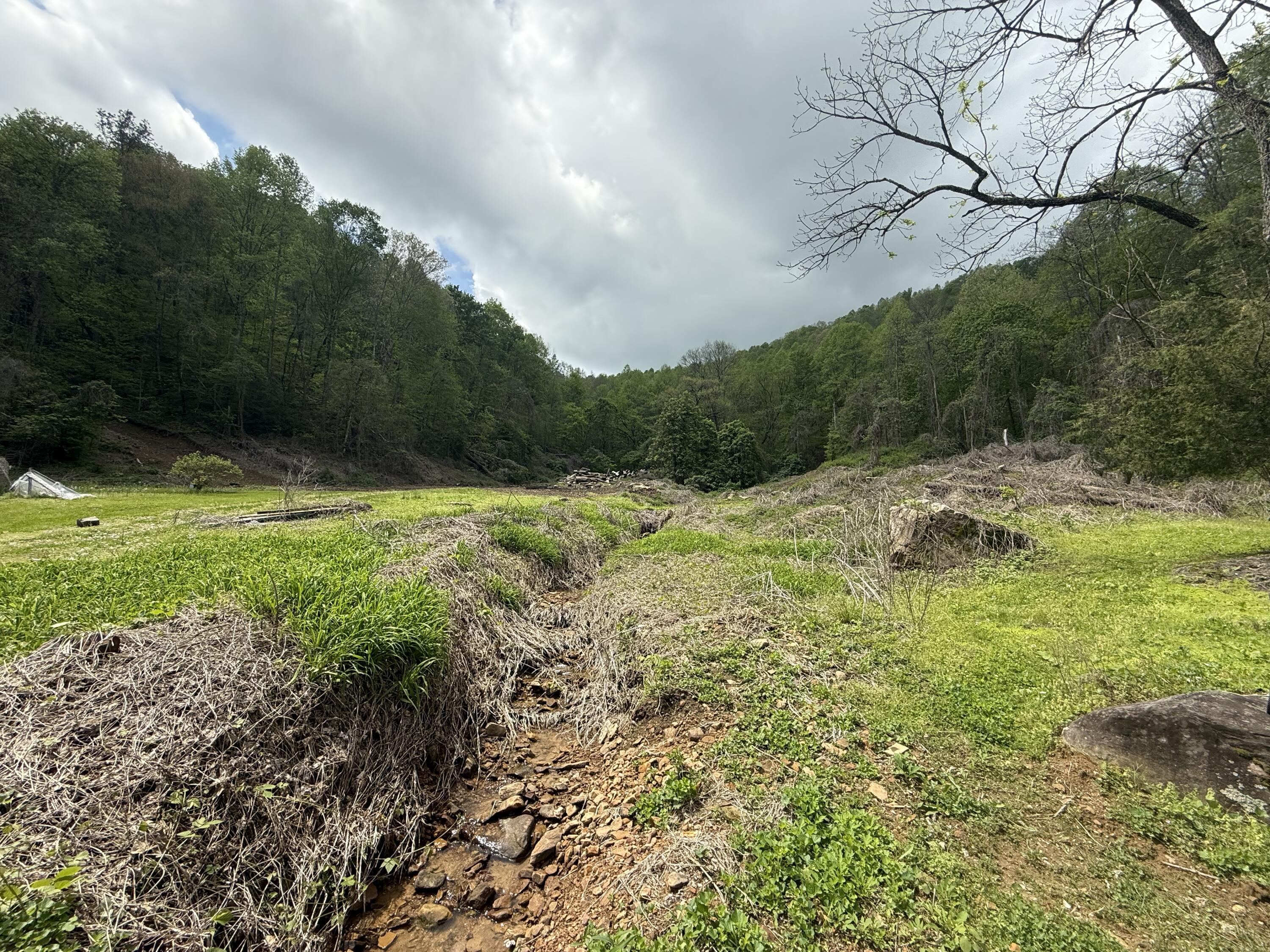 460 Bailey Branch Road Walker, KY 40997 - Photo 5 of 6 IMG_2955