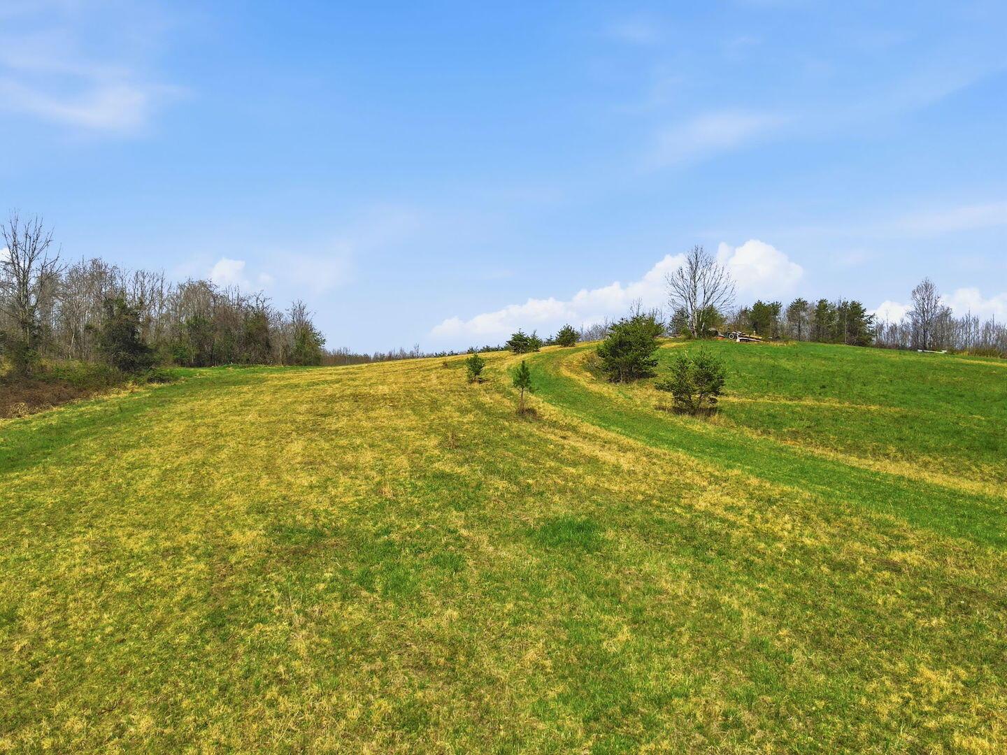 0 Roberts Road Jackson, OH 45640 - Photo 21 of 42 21-web-or-mls-DJI_0660