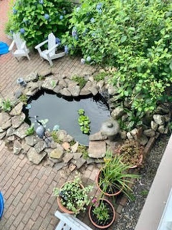 1 Radcliffe Circle Bedford, MA 01730 - Photo 34 of 42 a view of a garden with a fountain